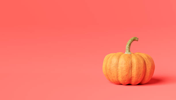 istock Ripe orange pumpkin placed on floor near pink backdrop 1600567254