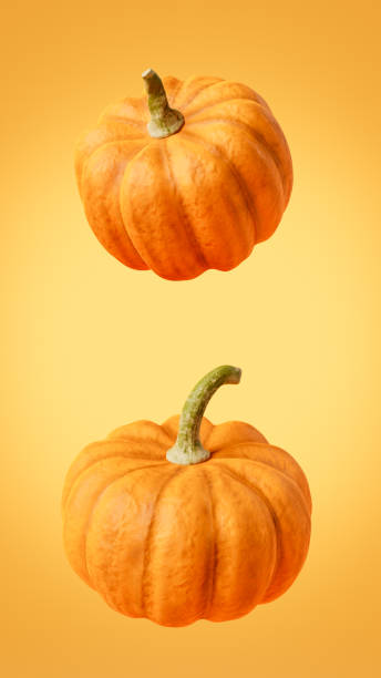 istock Ripe bright orange pumpkins placed on yellow surface 1600567266