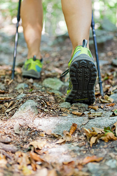 istock Woman hiking in forest 160056798