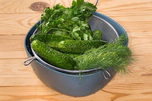 Washed fresh green cucumbers, dill and parsley covered with water drops in the stainless steel sieve on a bowl on the rustic table