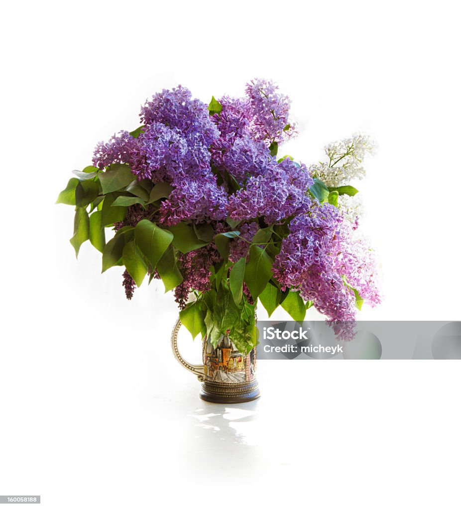 Bukiet z Lilak w jasny Słój na światło barwy - Zbiór zdjęć royalty-free (Botanika)