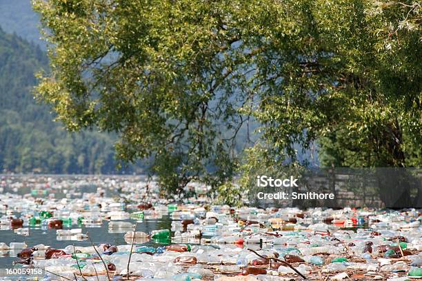 Wasserverschmutzung Stockfoto und mehr Bilder von Auf dem Wasser treiben - Auf dem Wasser treiben, Baum, Behälter