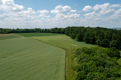 Aerial summer landscape with green fields, forests and blue sky with cumulus clouds.