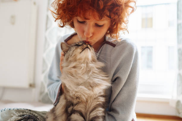 istock Friendship between domestic cat and pet owner 1600597061