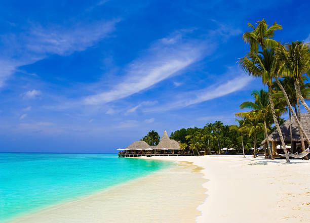 istock Cafe and palms on a tropical beach 160060394