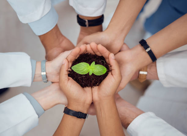 istock Hands, support or doctors with plant for teamwork or growth research with mission or unity in hospital. Group, nurse and top view of leaf seedling with soil for solidarity, healthcare or wellness 1600605917