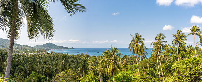 Tropical landscape panorama with palms, blue sky and view on sea horizon from the high in sunny day. Paradise Koh Tao island in Thailand