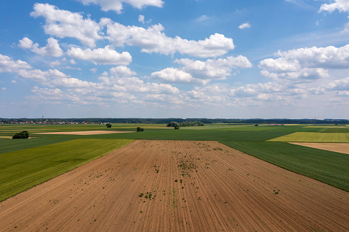 Aerial summer landscape with agricultural fields, blue sky and cumulus clouds.