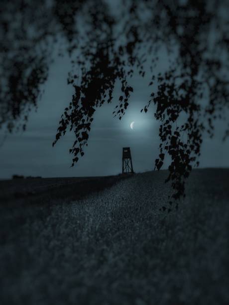 istock View of the field at night by moonlight 1600611691