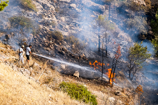 Ortakent-Bodrum, Turkey, 08.01.2023: People fighting against dangerous burning flame tongues, smoke of fire covering forest land. Disaster background with copy space. Ecological global warming and climate change. Breaking news.