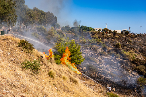 Ortakent-Bodrum, Turkey, 08.01.2023: People fighting against dangerous burning flame tongues, smoke of fire covering forest land. Disaster background with copy space. Ecological global warming and climate change. Breaking news.