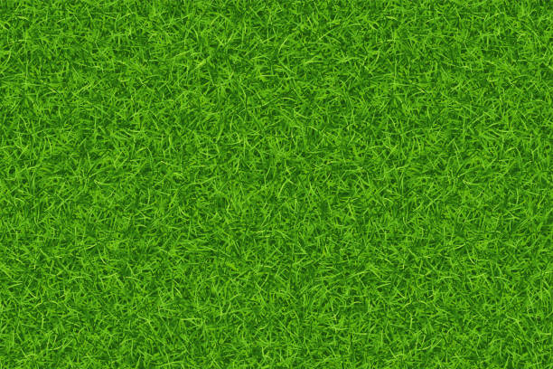 illustrations, cliparts, dessins animés et icônes de texture de pelouse verte motif de répétition. vecteur - turf