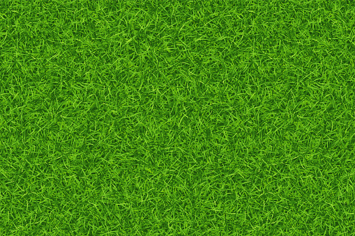 Lawn green grass texture repeat pattern. Vector illustration