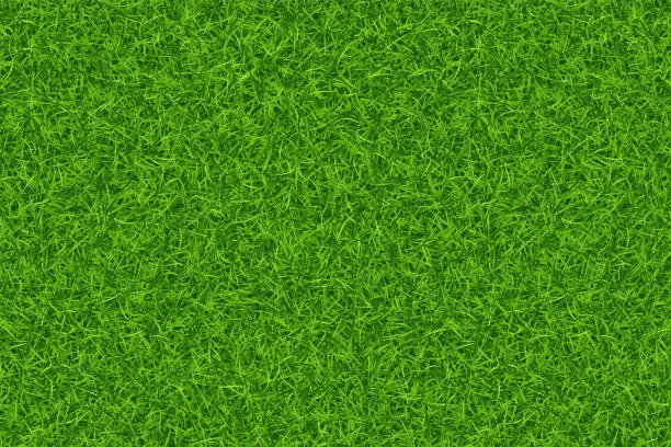 Vector illustration of Lawn green grass texture repeat pattern. Vector