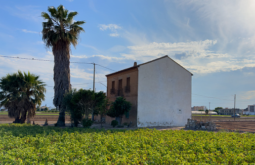 Farm field in Alboraya, LHorta. Rural landscape. Farmhouse and Valencian vegetable garden on farmland. Cultivation of crops, production of food in countryside. Sowing grain and harvesting on field.