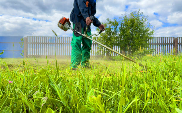 el jardinero corta las malas hierbas del césped. hombre cortando hierba en el patio mediante el uso de recortadora de cuerdas. - hedge clippers weed trimmer grass lawn fotografías e imágenes de stock