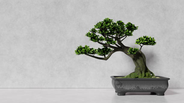 istock Ornamental plant in vase on light background against wall, interior design, place for text, mockup for design. 3d render 1600715182
