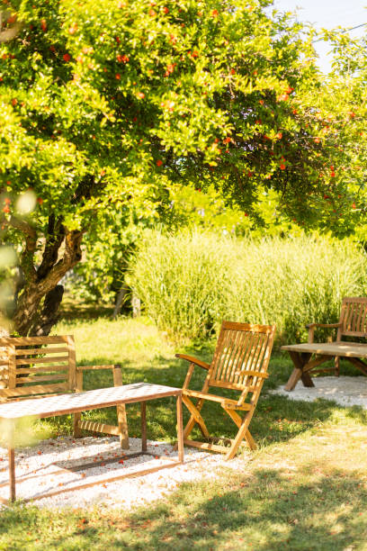 The vineyard as a quiet place.