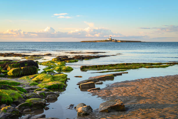 Nestled in between Amble and Druridge Bay is Hauxley Beach, popular with walkers and at low tide the sandy beach is quite wide