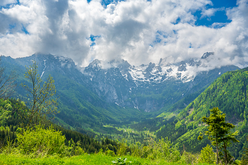 View in the Vellacher Kotschna Valley in the Kamnik Savinja Alps on the border of Austria and Slovenia during a beautiful springtime day.