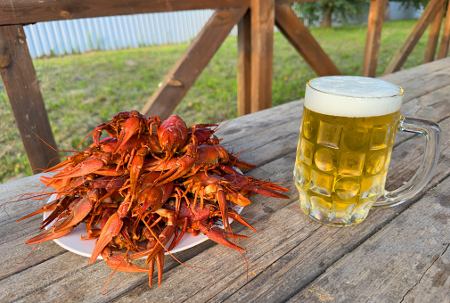 Crayfish on plate on a wooden table. Crawfish Snack to beer. Crayfish Beer snack dish. Boiled crawfish, red clayfish eat. Fresh cooked Crawfishes.