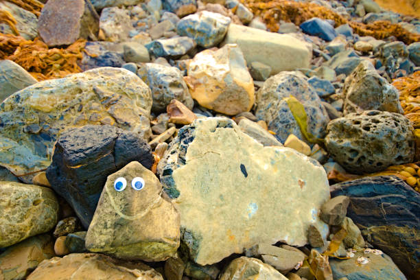 A smiling rock with googly eyes sits on a rocky seaweed littered sea shore, looking at the camera for a cute portrait. High quality photo