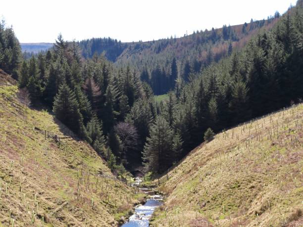 istock a man on horse crossing the river in a forested valley 1600779513