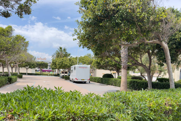 istock Campervan in camp parking near beach at coastline. 1600783983