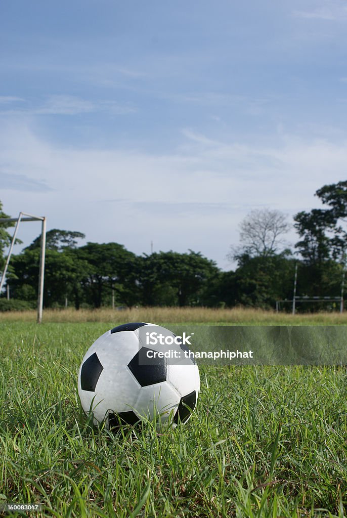 Football en herbe - Photo de Aire de jeux libre de droits