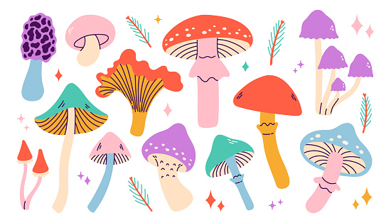 Set of forest abstract mushroom, toadstool, chanterelles,  honey agarics, fly agarics, morels. Poisonous ingredients for witch potion. Hand drawn vector illustration.