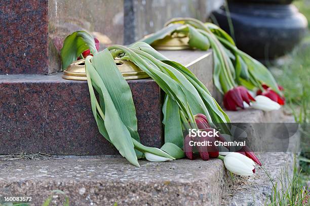 Wilting Stock Photo - Download Image Now - Cemetery, Dead Plant, Death