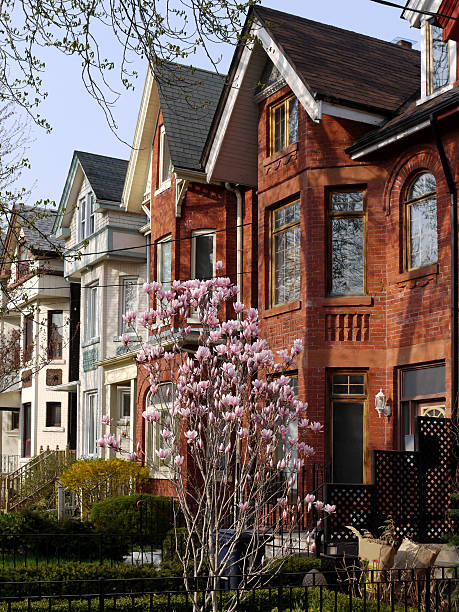 istock Row of Victorian homes with beautiful pink tree out front 160083704