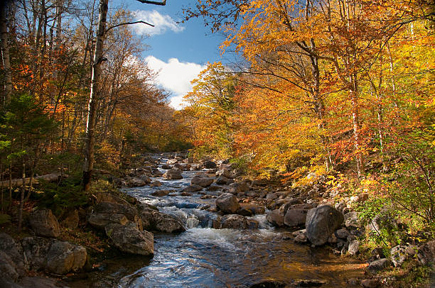 River on Carter Mountain stock photo