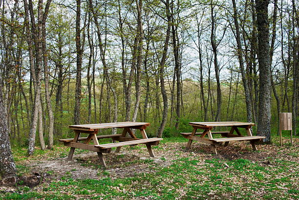 Picnic area stock photo