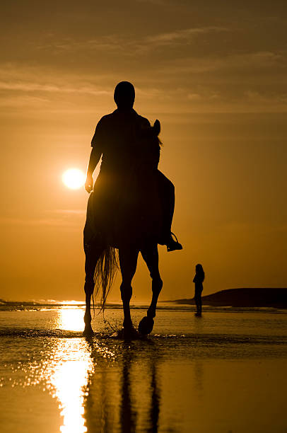 istock Horse rider on the beach 160087042