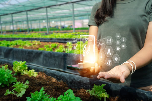 istock Digital Farming in Action Innovating Agriculture with Touchscreen Technology 1600878362