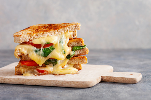 grilled cheese spinach and tomato sandwich on concrete background