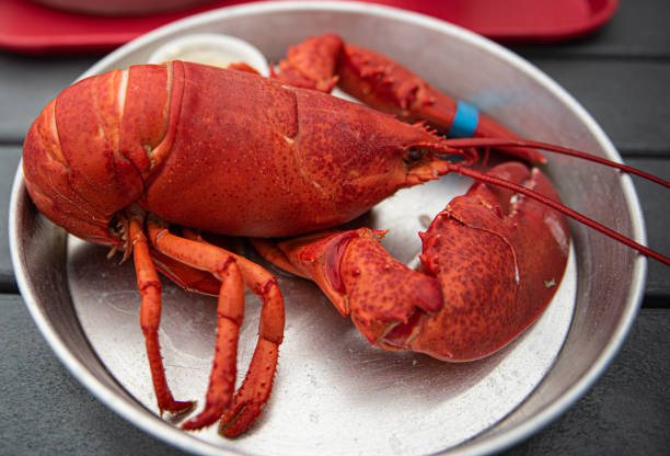 istock boiled lobster in plate 1600894865