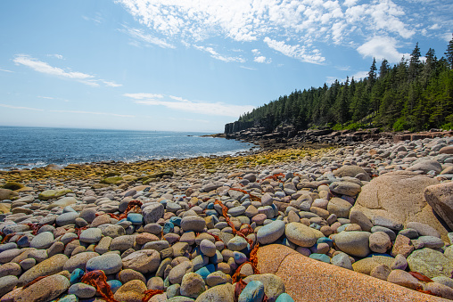 Colorful cobblestone beach at Acadia National park