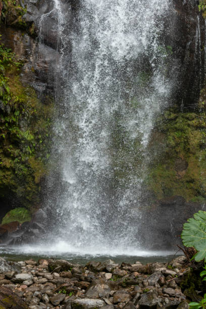 istock Waterfall in rain forest - stock photo 1600899208