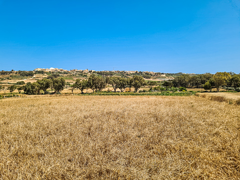 Agricultural fields on the island Gozo in the Maltese archipelago.