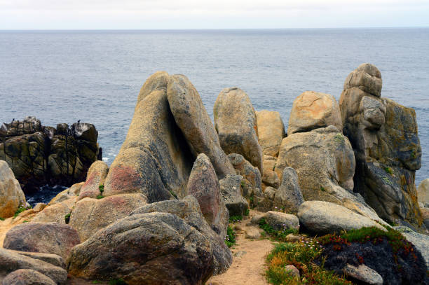 istock Surf Breaking Asilomar State Marine Reserve California 1600920311