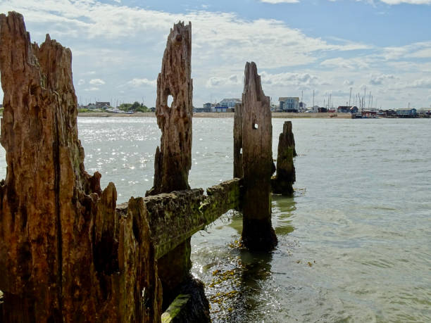 istock River Deben at Bawdsey, Suffolk 1600958572