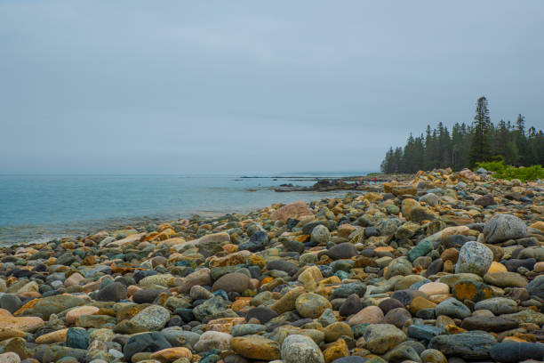 Rocky shore at Bald Head Cliff, Maine, USA