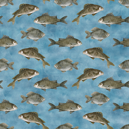 Watercolor freshwater fish seamless pattern. Hand drawn European carp, common perch, bass fish on blue water background. School of fish illustration. Lake, river fishing. Seafood, packaging design