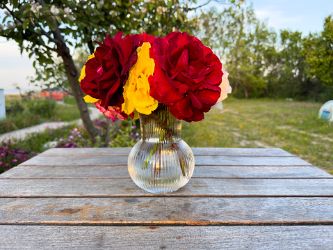 Variation or group of garden roses flowers in small vases or bottles