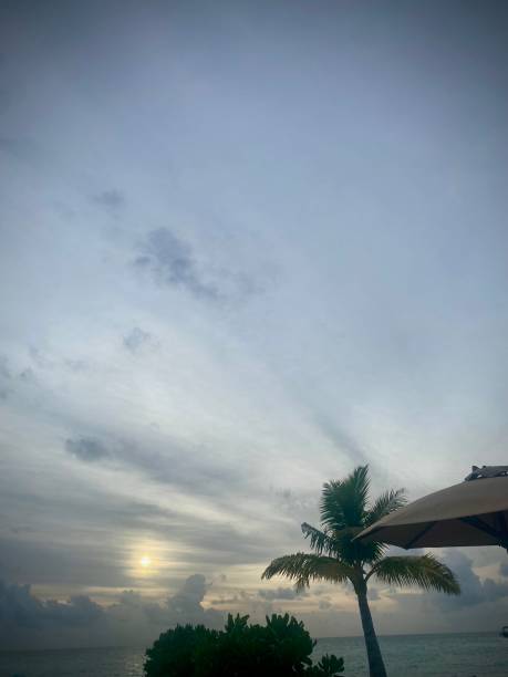 istock Palm trees, white sand beach, clear blue ocean paradise holiday destination. Sunset 1600967584