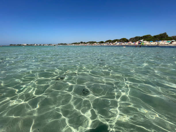 la belle plage de punta prosciutto dans le salento - pouilles - italie - water wave sea tranquil scene photos et images de collection