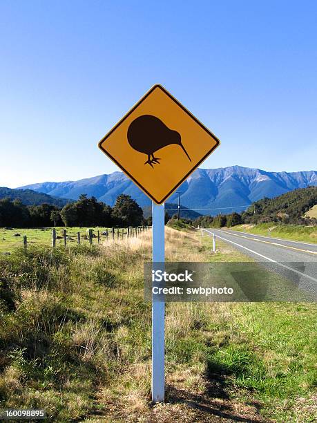 Cruzamento De Kiwi - Fotografias de stock e mais imagens de Pássaro Kiwi - Pássaro Kiwi, Estrada, Ilha do Sul da Nova Zelândia