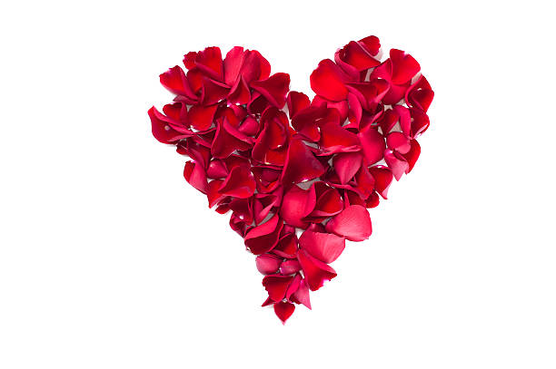 istock Rose Petals Shaped like a heart 160098956